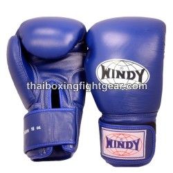 Windy Thaiboxing Gloves BGVH Blue | Gloves