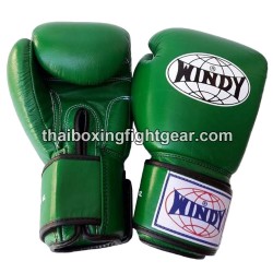 Windy Thaiboxing Gloves BGVH Green | Gloves