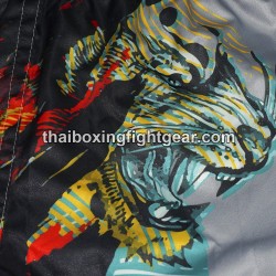 Fairtex Thaiboxing Shorts BS1909 | Shorts