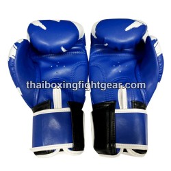 Raja Boxing Gloves 12oz 