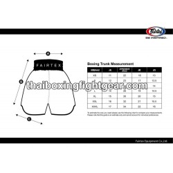 Fairtex BT2009 Muay Thai Boxing Shorts | Shorts